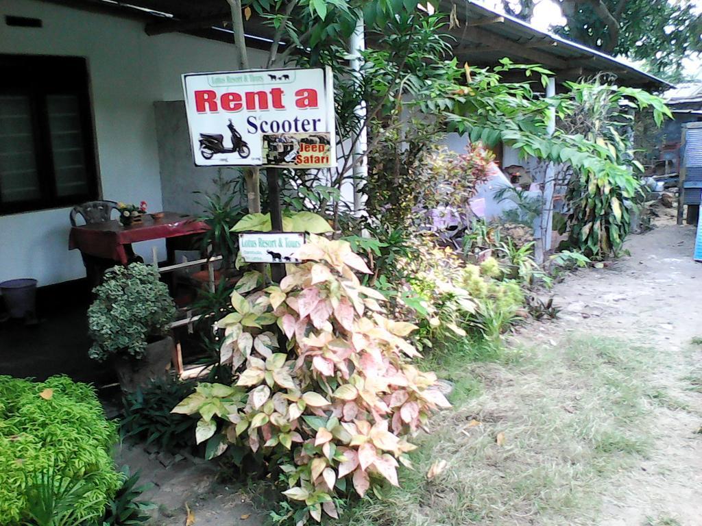 Lotus Inn Tourist Resort Dambulla Exterior foto